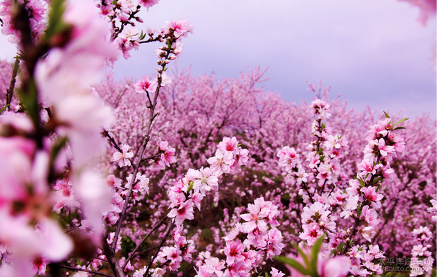 �����һ����ֵ���ů����ʱ