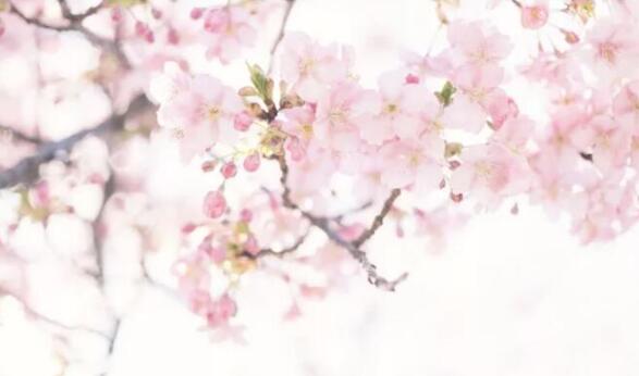 ��������������������ͻ����й���