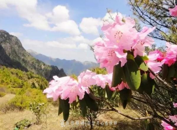 ��ũ��̤���ͻ����ţ�������