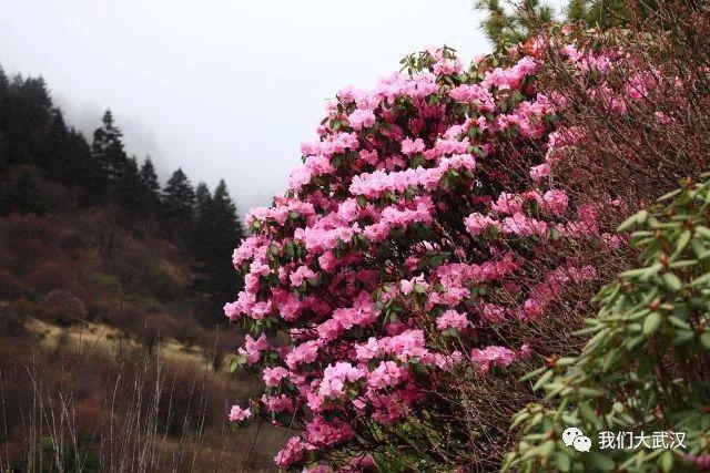 ��ũ�ܸ�ɽ�ž������֮��