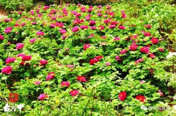 ������������¡�п�ĵ��