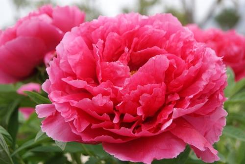 Ω��ĵ�����ɫ,����ʱ�ڶ�����