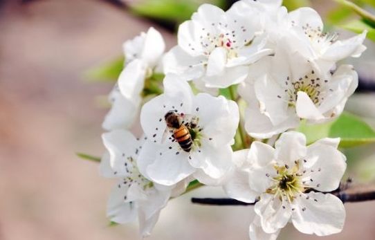 ���滨֮�����Ϻӿ�