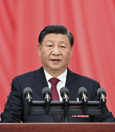 习近平代表第十九届中央委员会向党的二十大作报告