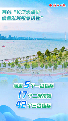 “税护长江” 五招助力湖北经济绿色发展