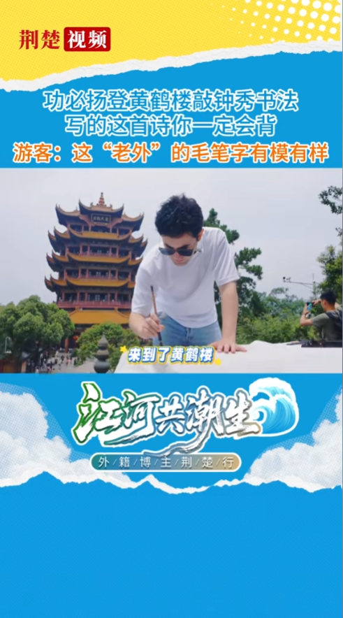 ƺ¥鷨