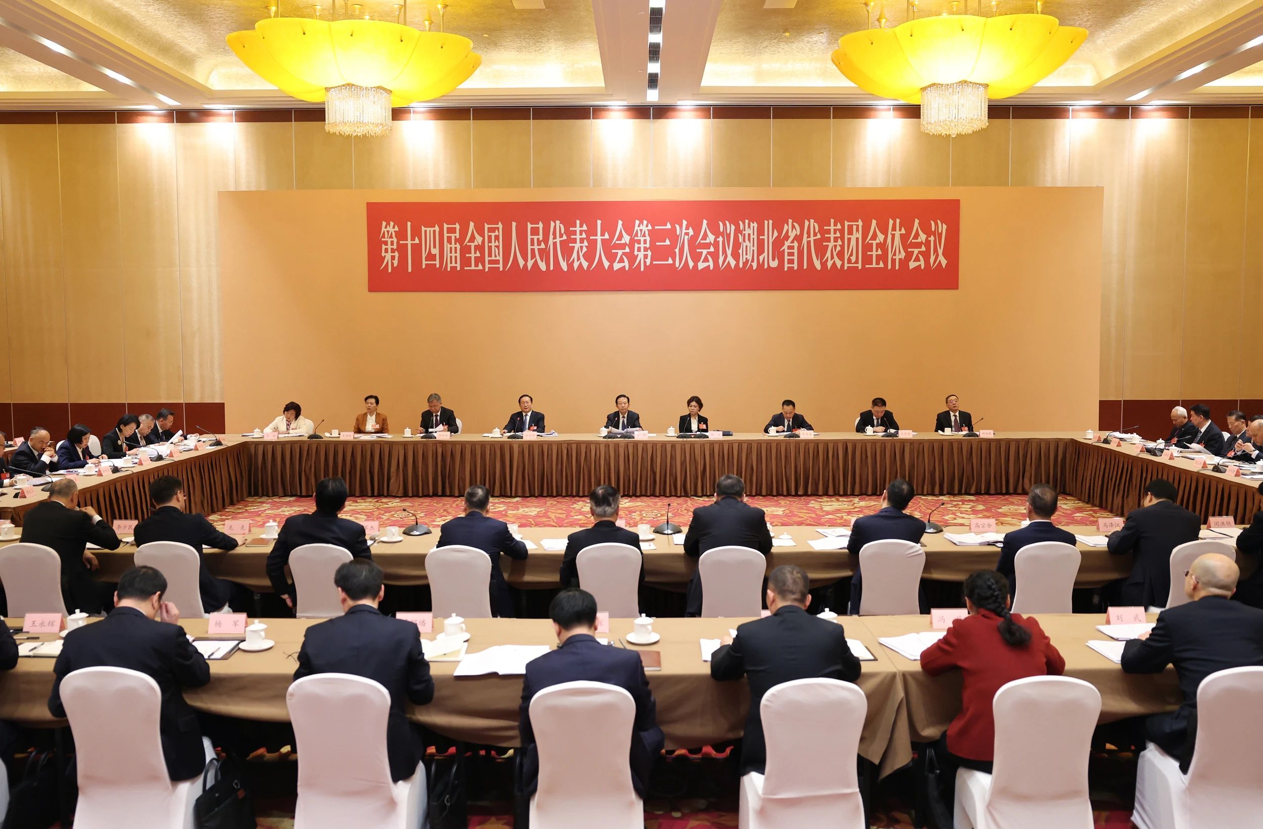 湖北代表团举行全体会议审议政府工作报告