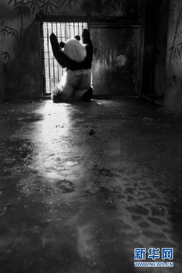 �����ʣ���2��4���й���Ӱʦ����������