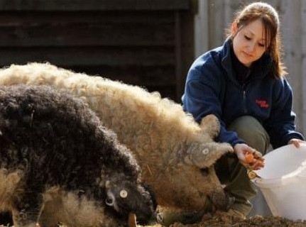 ���޼��������³�Ա �������������������Ľ���ȷ�����