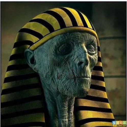 ����չ��6500������ľ���� �̵��������ľ��������