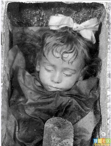 ����չ��6500������ľ���� �̵��������ľ��������