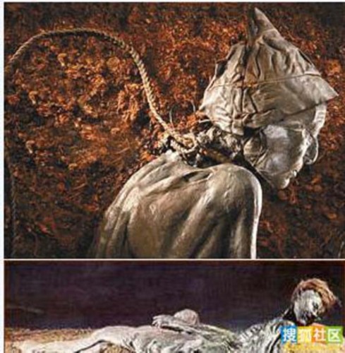 ����չ��6500������ľ���� �̵��������ľ��������