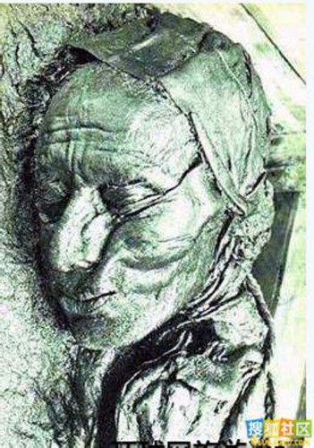 ����չ��6500������ľ���� �̵��������ľ��������