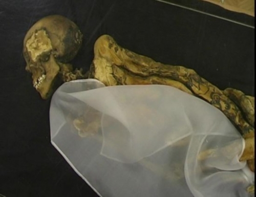 ������������� �̵�����ʮ���������ľ����