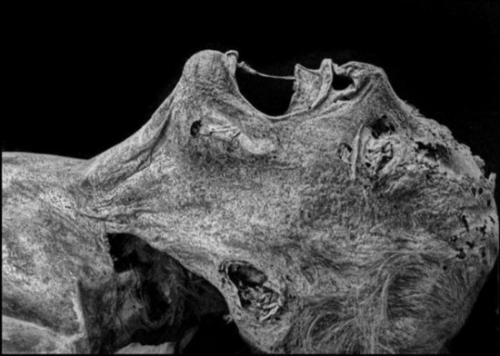 ������������� �̵�����ʮ���������ľ����