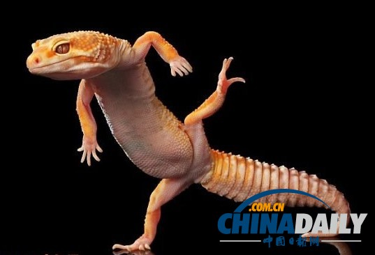 ӡ�����ɡ����ϵ��ϵ������Ӱʦ���ģ���ͼ��