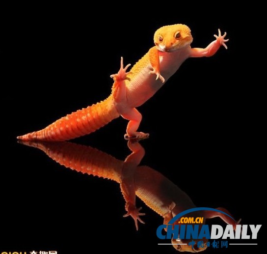 ӡ�����ɡ����ϵ��ϵ������Ӱʦ���ģ���ͼ��