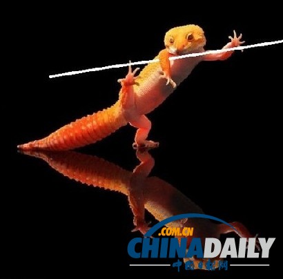 ӡ�����ɡ����ϵ��ϵ������Ӱʦ���ģ���ͼ��