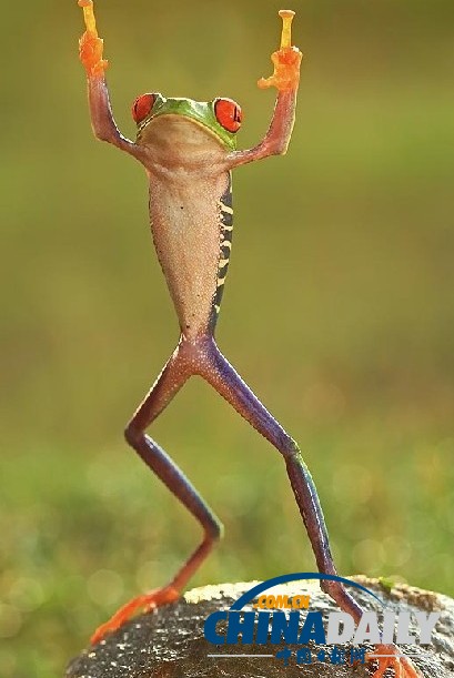 ӡ�����ɡ����ϵ��ϵ������Ӱʦ���ģ���ͼ��