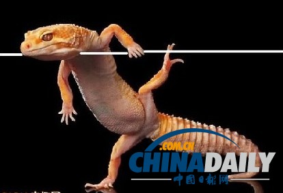 ӡ�����ɡ����ϵ��ϵ������Ӱʦ���ģ���ͼ��