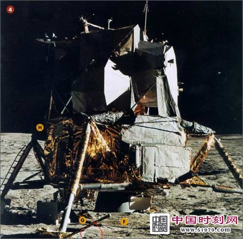 ˹ŵ��ָ����������� �ɵ�����