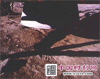 ˹ŵ��ָ����������� �ɵ�����