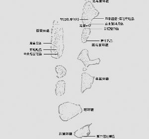 ɳ������1.8��Ԫ������3���ȼ� ����������(ͼ)