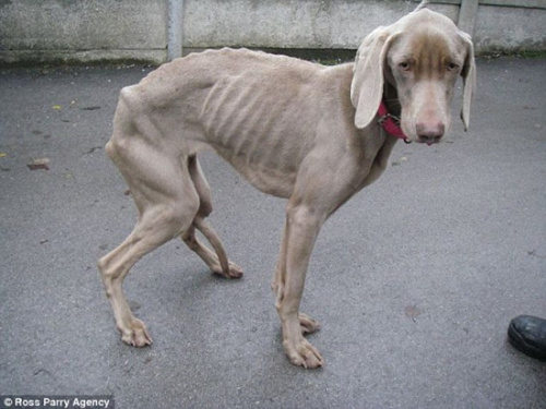 С��������ʱ״���Ѿ��ǳ�����