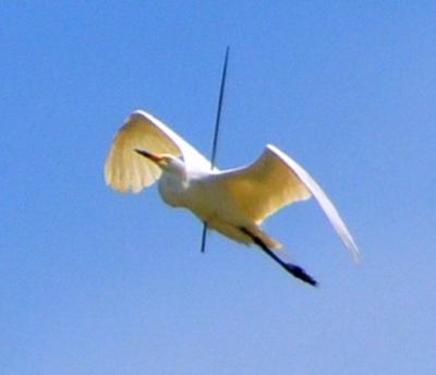 ���ǿ����������䴩�Է�����������ⲽ��ͼ��