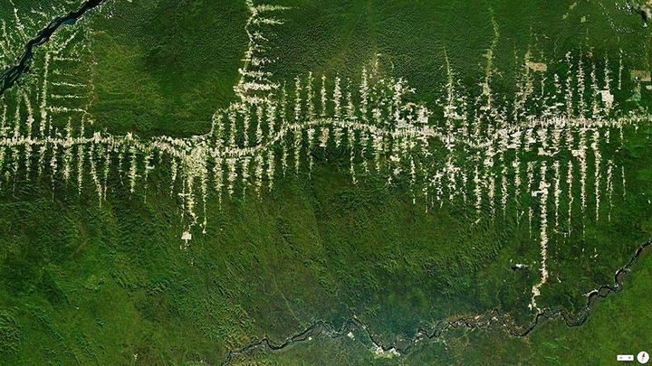 巴西热带雨林介绍