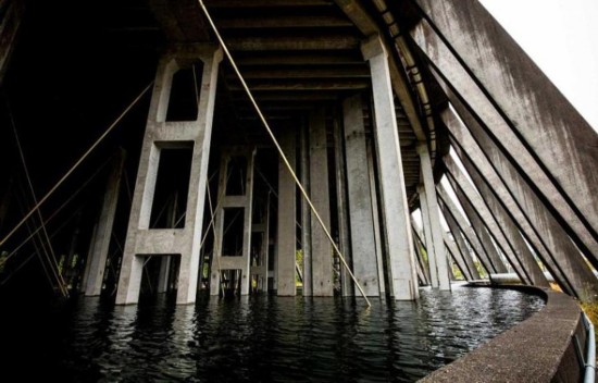 ���������β�˵�վ�����ƻô�Ƭ���㳡��