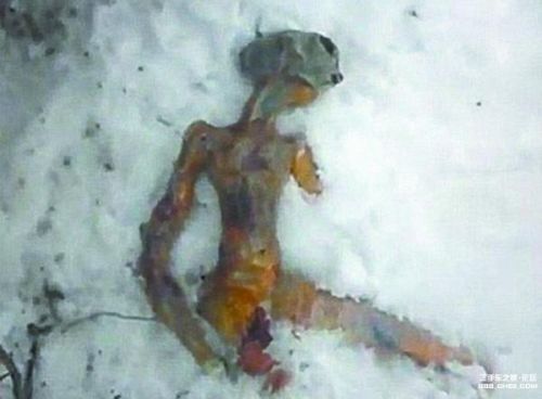 �̵��������ټ�