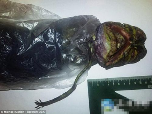 �̵��������ټ�