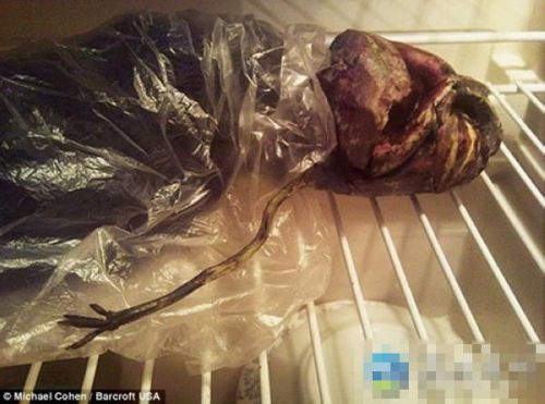 �̵��������ټ�