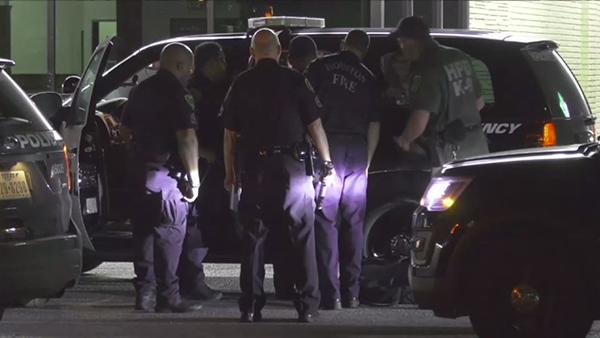 �ӷ���׷�³����� �����