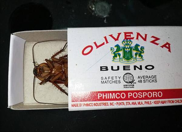 ���Ƶ��δ�����룺������˸Լ15�룬�������ȥ