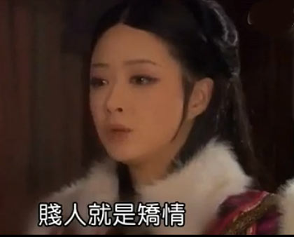 台湾绿委批《甄嬛传》贱人就是矫情台词带坏