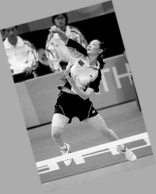 ���������ϵ�Ӣ��