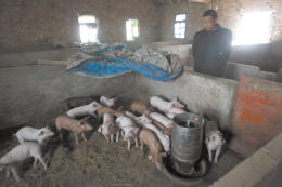 ���ֽ�������Դ����������������綪���ֹ�