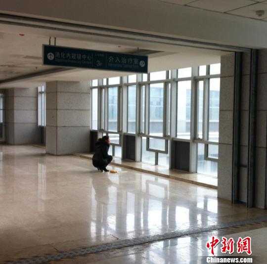 ��������ҹ���й����˳�Ϊ������ϲ֮һ������������ɽ��ʡƫԶɽ���������˵���»�֮ҹ���Գ�Ϊ������֮�󱯡��������򱻡��ֶ�����ʱ���µ�֧���ܶ��Ѽ�����֢���򽫱��ֲ���ˡ�������