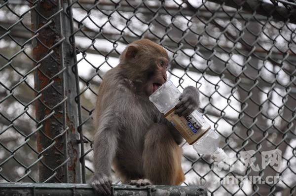 www-cnhubei