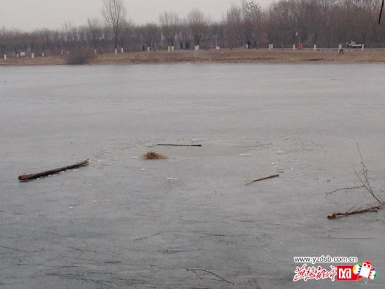 ��ɽ ���� ��ѧ��