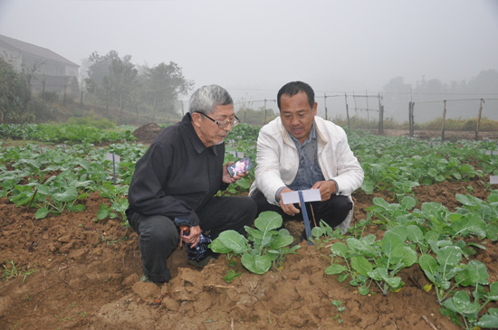 10��31�գ������[��]��һֱ֧�ָ����Ͳ��о��ĵ����ϿƼ�����������������������۲��Ͳ��������ơ�ÿ���Ͳ˵������������б�ǩ���ϸ��¼����״����