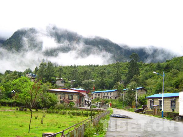 �ղ�������������