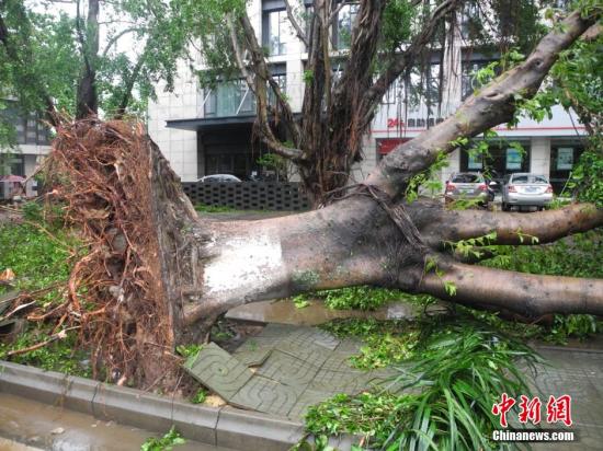 超强台风威马逊三次登陆中国致17死 近500万