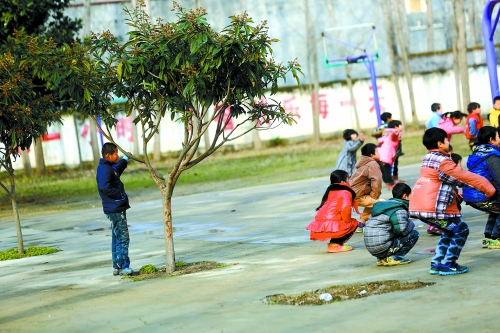 ��ƽ6Ѯ��̫�ϲ����ƻ���������ѧ 5����1��๫��