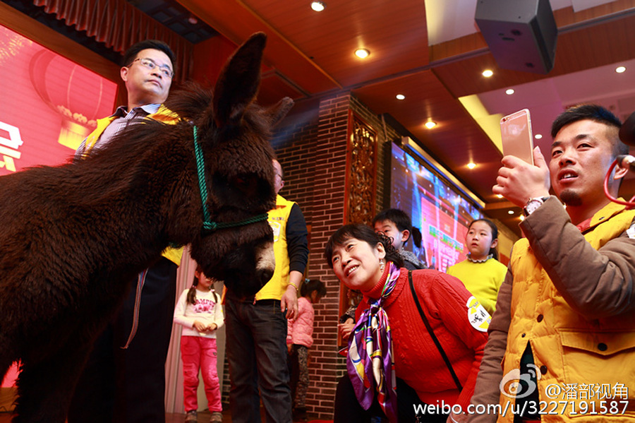 ����һ��˾��������⽱Ʒ������������