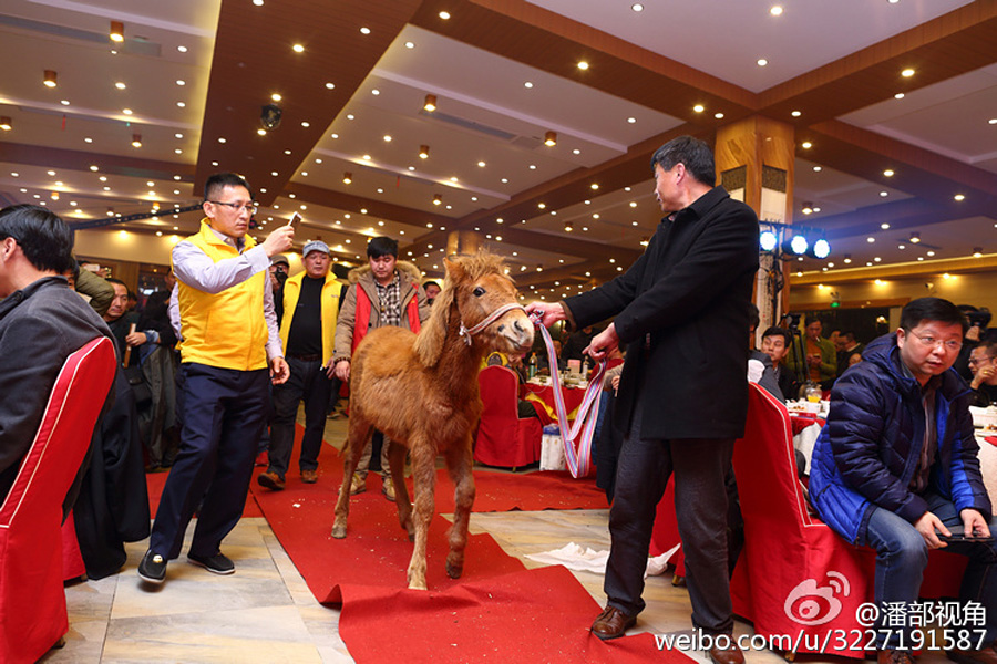 ����һ��˾��������⽱Ʒ������������