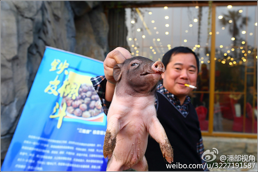 ����һ��˾��������⽱Ʒ������������