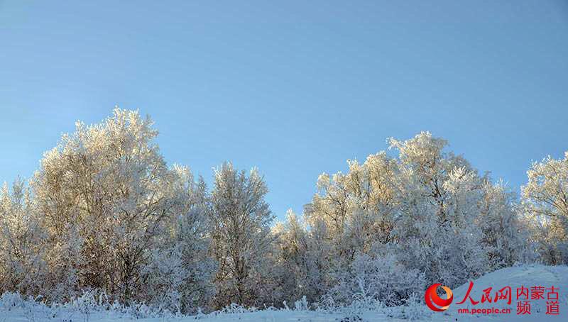 �����İ���ɳ��ڡ������ǿ ���� �㣩